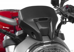 CNC Racing Carbon Instrumentenabdeckung Ducati Monster 821 & 1200